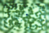 MICROSCOPIA DE CAMPO CLARO E ESCURO