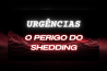 URGÊNCIAS – O PERIGO DO SHEDDING