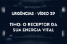 URGÊNCIAS – VÍDEO 29 – TIMO: O RECEPTOR DA SUA ENERGIA VITAL