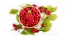 SCHISANDRA BERRIE ELIMINA A LUCIFERASE BACTERIANA (INGREDIENTE DE VACINAS COVID)
