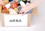A VERDADE CHOCANTE SOBRE A PRESENÇA DE VACINAS BASEADAS EM MRNA NA COMIDA