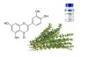 LUTEOLINA – PROTEÇÃO CONTRA A PROTEÍNA SPIKE E BLOQUEIO NO DESENVOLVIMENTO DE CÂNCER