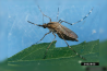 BILL GATES E OS MOSQUITOS GENETICAMENTE MODIFICADOS NA FLÓRIDA E NO TEXAS