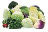 VEGETAIS CRUCÍFEROS NA PREVENÇÃO/TRATAMENTO DE INFECÇÃO/EXPOSIÇÃO AO SARS-COV-2/PROTEÍNA SPIKE