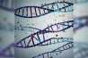 AS VACINAS DE MRNA NÃO CONTÉM RNA BIOLÓGICO