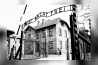 JUDEU REVISIONISTA, DAVID COLE, INVESTIGA O HOLOCAUSTO