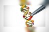 TERAPIA CRISPR: SALADAS VERDES GENETICAMENTE MODIFICADAS CHEGANDO AOS SUPERMERCADOS – E NÃO SERÃO ROTULADAS
