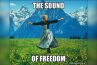 SOBRE O FILME SOUND OF FREEDOM – AMANDHA VOLLMER