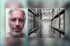 O QUE VOCÊ PRECISA SABER SOBRE OS ARQUIVOS DE EPSTEIN – THE VIGILANT FOX