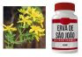 HIPERICINA (ERVA DE SÃO JOÃO) UM ANTIRRETROVIRAL ANTICÂNCER, ANTIDIABETES E ANTI-EPSTEIN BAR
