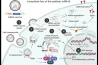 A OBSCURA REALIDADE DA VACINOLOGIA DO MRNA: INCORPORANDO CÓDIGO GENÉTICO NO EXOMA HUMANO