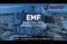 DR. MARTIN PALL EXPLICA O HUMANICÍDIO VIA EMF’S (VÍDEO)