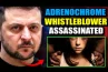 OFICIAL DE ZELENSKY QUE EXPÔS REDE DE ADRENOCHROME EM HOLLYWOOD É ASSASSINADO EM PÚBLICO